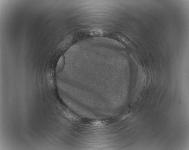 X0000064770616200603031827