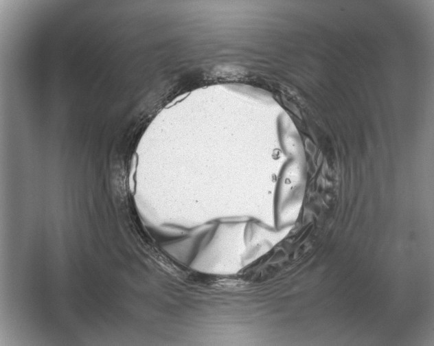 X0000064770617200603031827