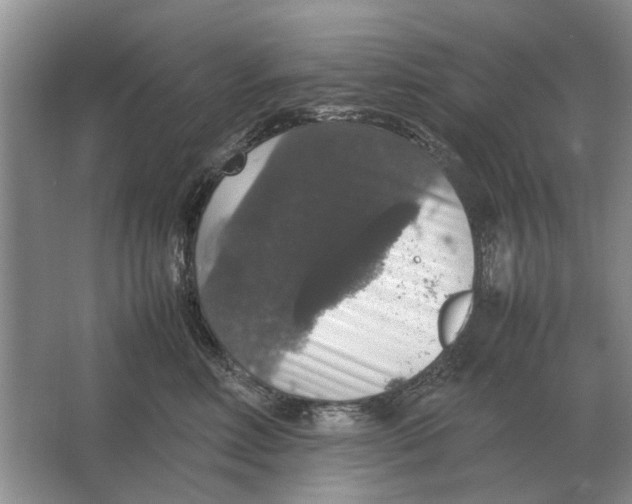 X0000064770618200603031827