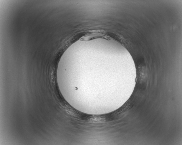 X0000064770619200603031827