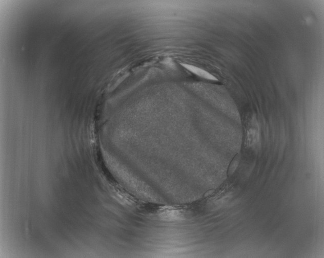 X0000064770620200603031827