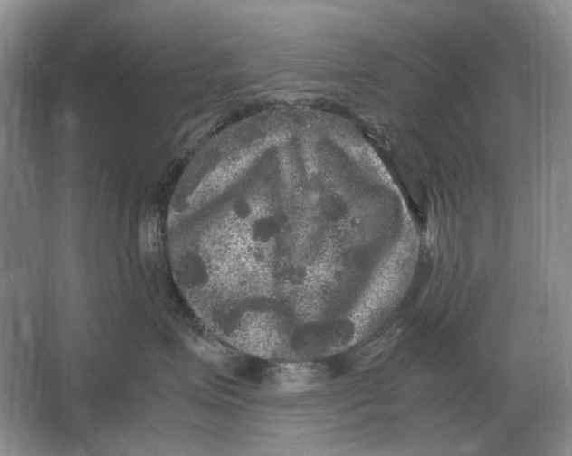 X0000064770623200603031827