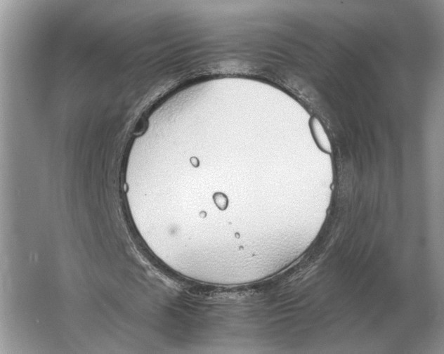 X0000064770625200603031826