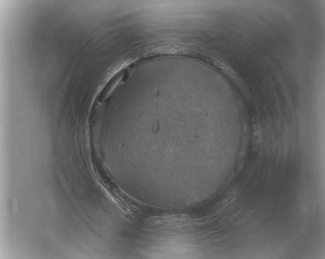 X0000064770626200603031826