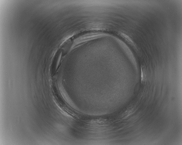 X0000064770627200603031826