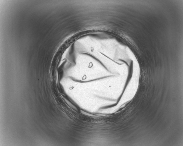 X0000064770628200603031826