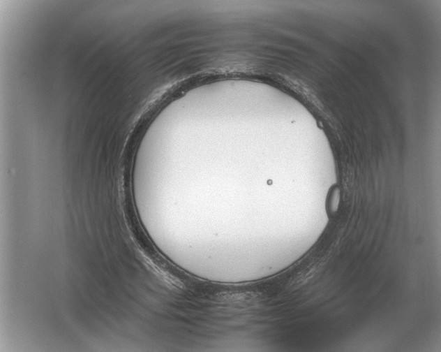 X0000064770629200603031826