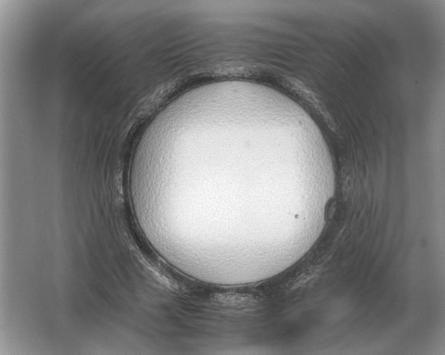 X0000064770633200603031826