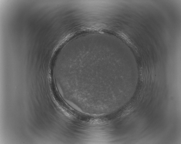 X0000064770634200603031826