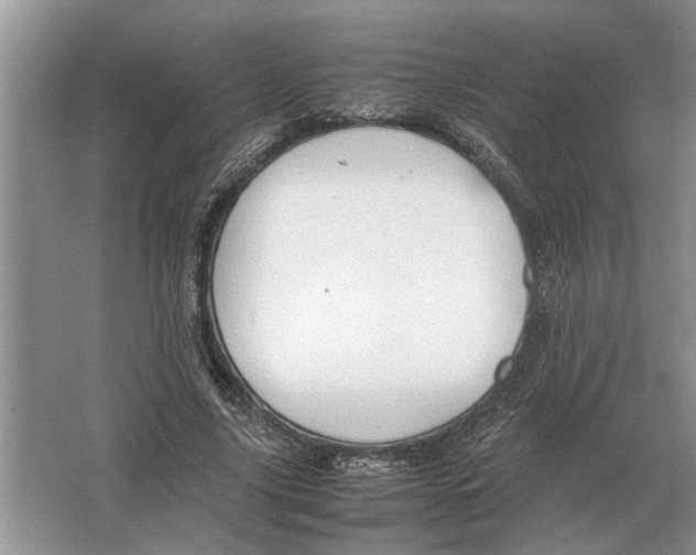 X0000064770635200603031826