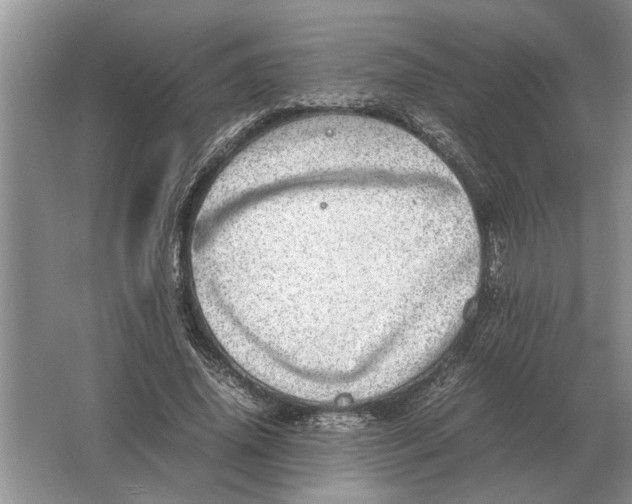 X0000064770636200603031826