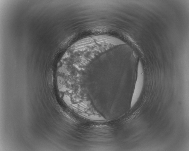 X0000064770637200603031826