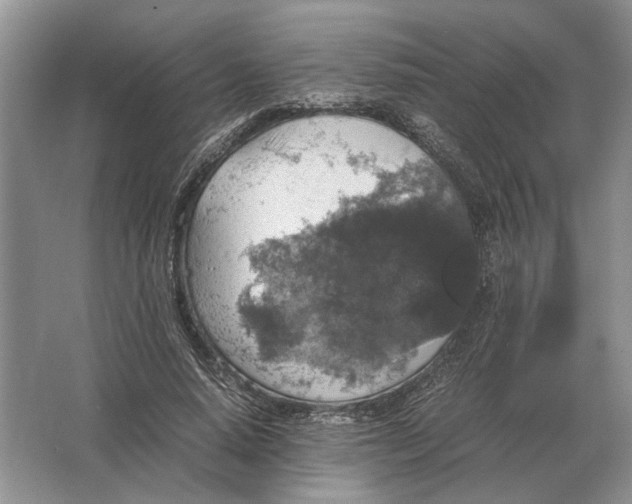 X0000064770640200603031826