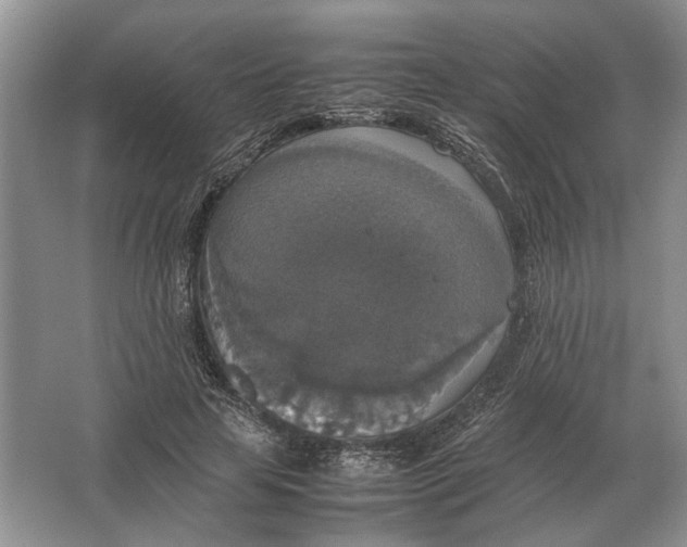 X0000064770641200603031826