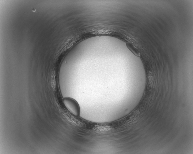 X0000064770642200603031826