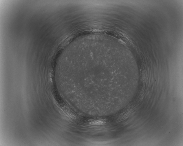 X0000064770643200603031826