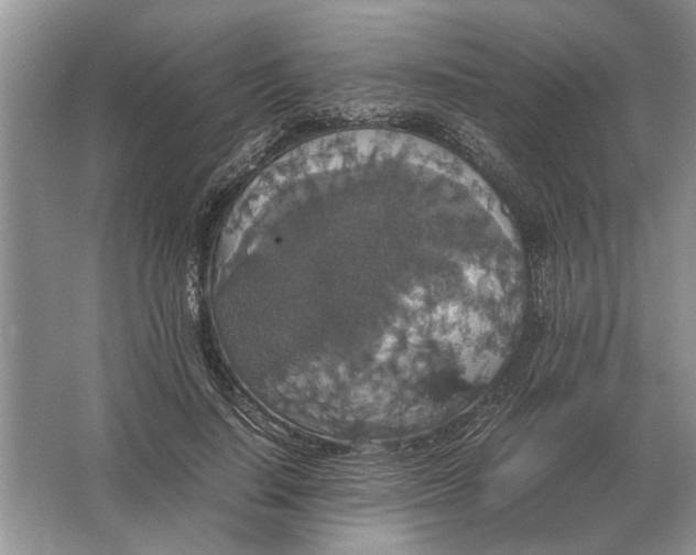 X0000064770644200603031826