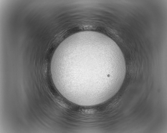 X0000064770645200603031826