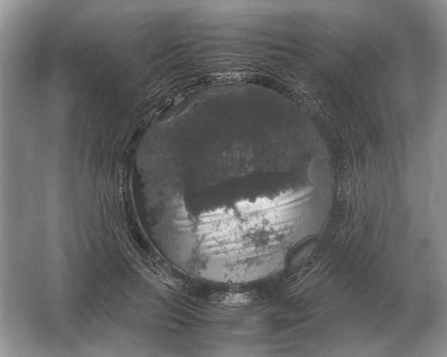 X0000064770647200603031826