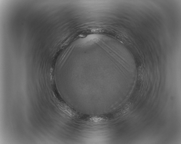 X0000064770650200603031826