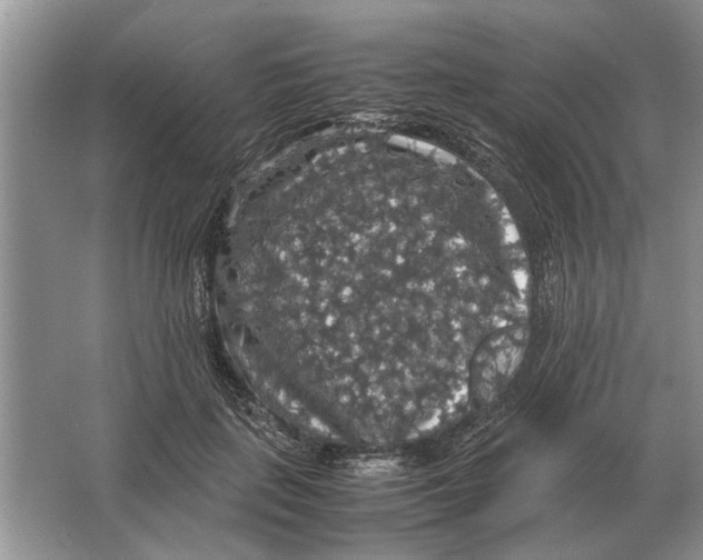 X0000064770651200603031826