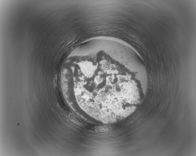 X0000064770652200603031826