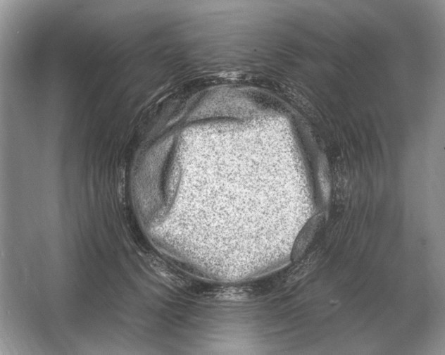 X0000064770656200603031826