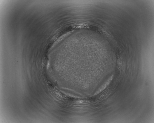 X0000064770657200603031827