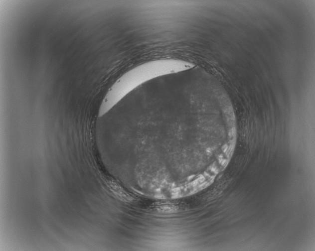 X0000064770658200603031827