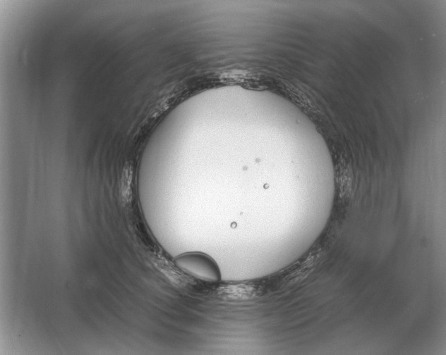 X0000064770660200603031827