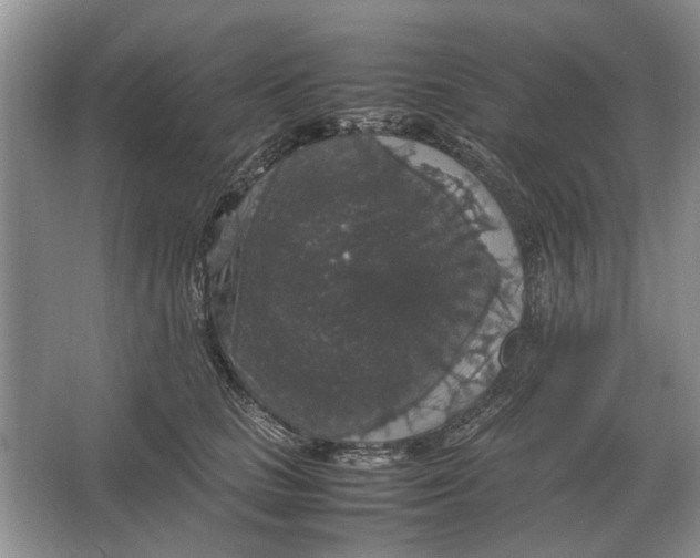 X0000064770661200603031827