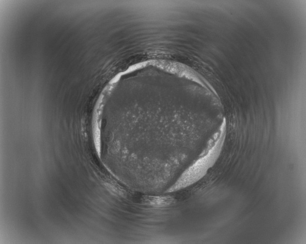 X0000064770663200603031827