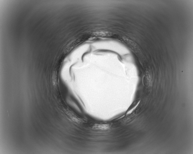 X0000064770665200603031827