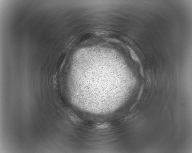 X0000064770667200603031827