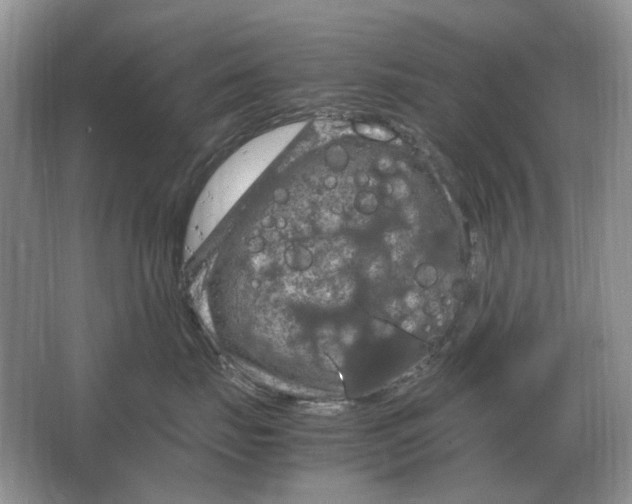 X0000064770671200603031827