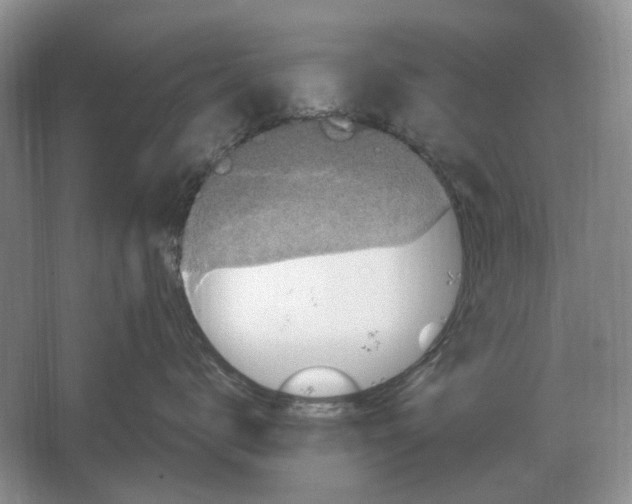 X0000064770672200603031827