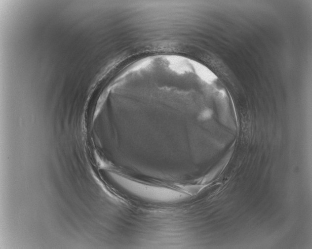 X0000064770674200603031826