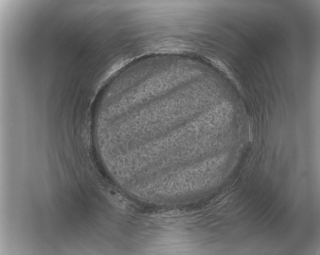 X0000064770675200603031826