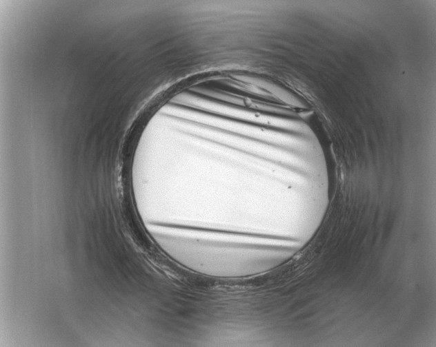 X0000064770676200603031826