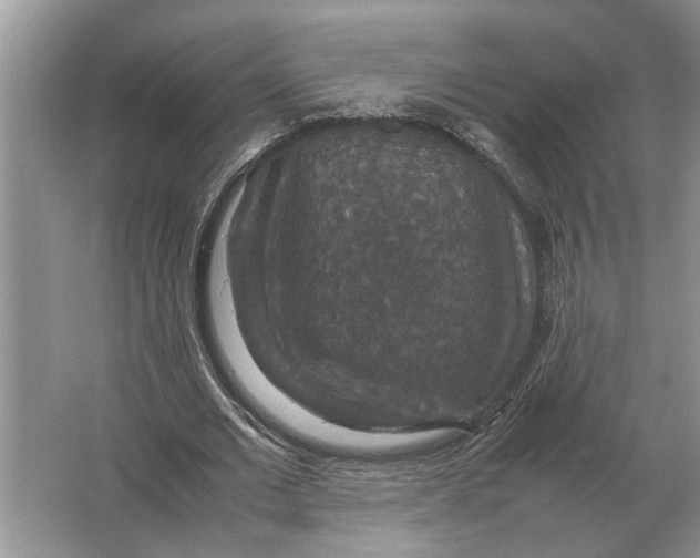 X0000064770677200603031826