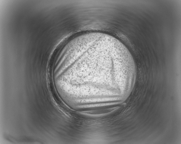 X0000064770680200603031826