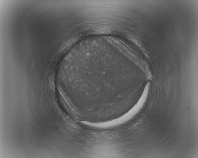 X0000064770681200603031826