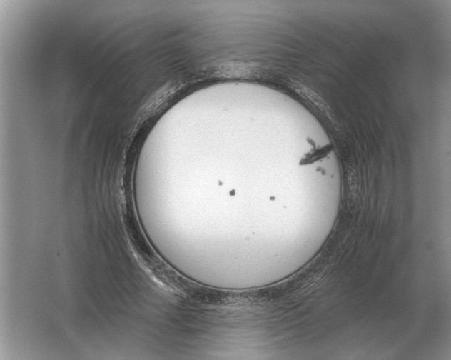 X0000064770682200603031826