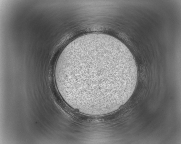 X0000064770683200603031826