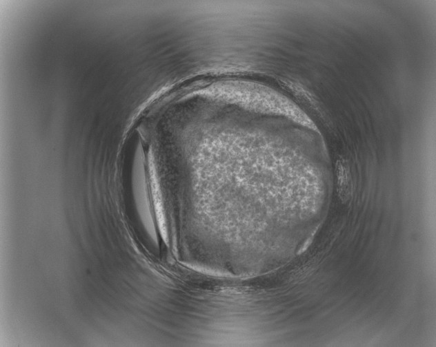 X0000064770684200603031826