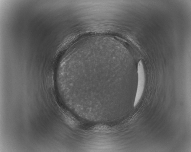 X0000064770685200603031826