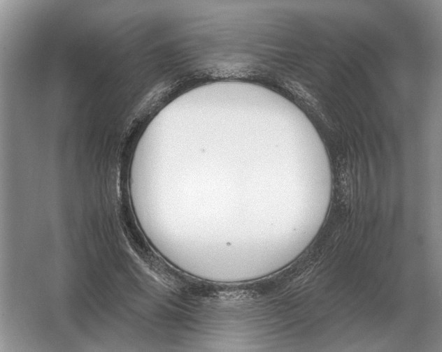 X0000064770686200603031826