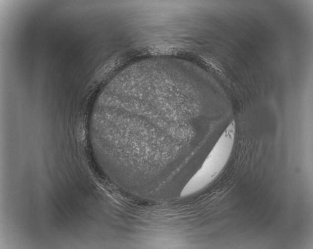 X0000064770687200603031826