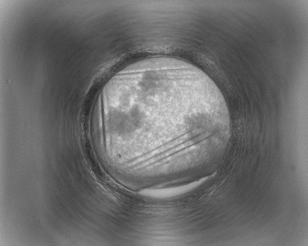 X0000064770688200603031826