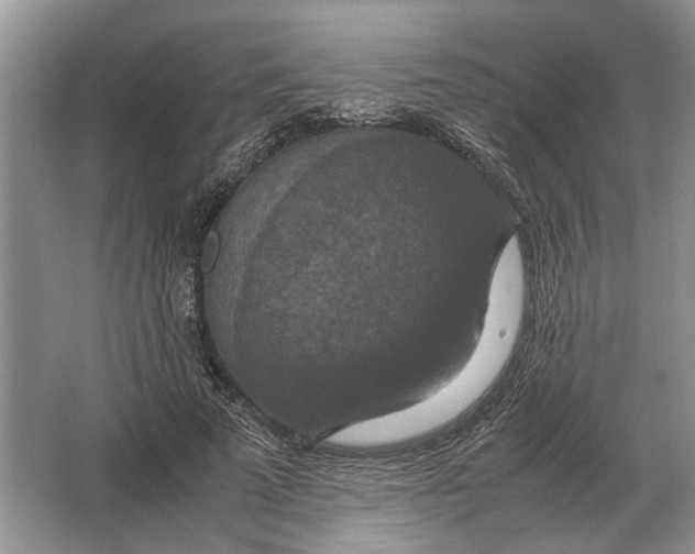 X0000064770689200603031826